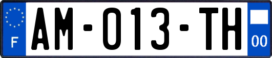 AM-013-TH
