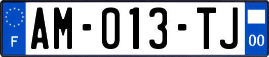 AM-013-TJ