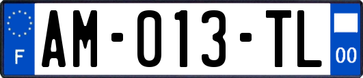 AM-013-TL