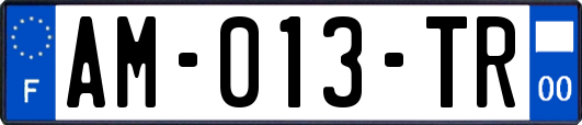 AM-013-TR