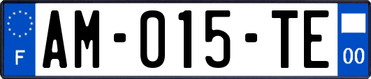 AM-015-TE