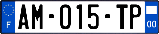 AM-015-TP