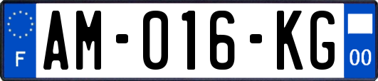 AM-016-KG