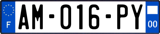 AM-016-PY