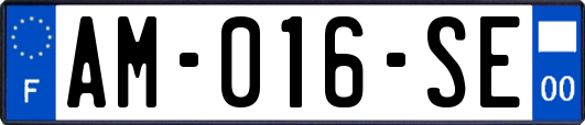 AM-016-SE