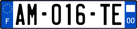 AM-016-TE