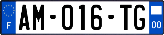 AM-016-TG