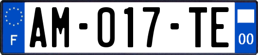 AM-017-TE