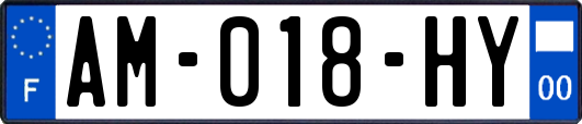 AM-018-HY