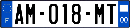 AM-018-MT