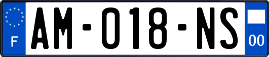 AM-018-NS
