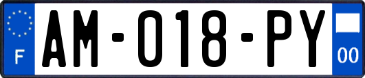 AM-018-PY