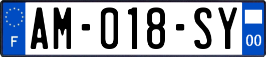 AM-018-SY
