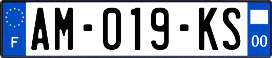 AM-019-KS