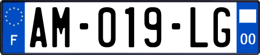 AM-019-LG