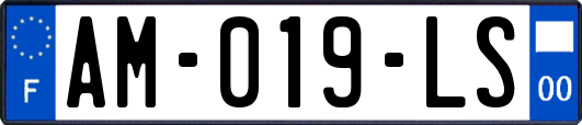 AM-019-LS