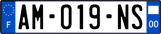 AM-019-NS