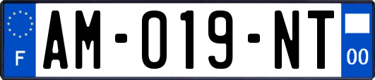 AM-019-NT
