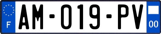 AM-019-PV