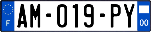AM-019-PY