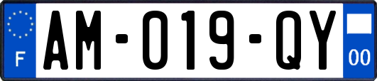 AM-019-QY