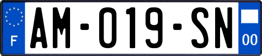 AM-019-SN