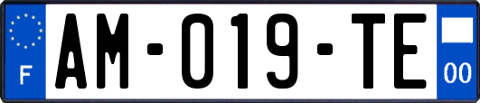 AM-019-TE