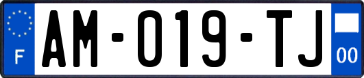 AM-019-TJ
