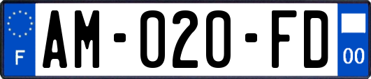 AM-020-FD