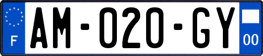 AM-020-GY