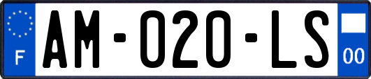 AM-020-LS