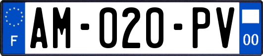 AM-020-PV