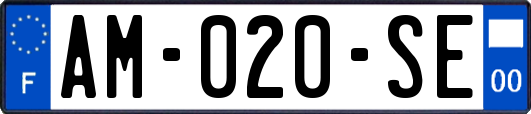 AM-020-SE