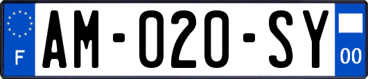 AM-020-SY
