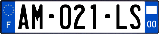 AM-021-LS