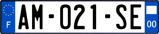 AM-021-SE