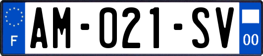 AM-021-SV