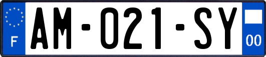 AM-021-SY