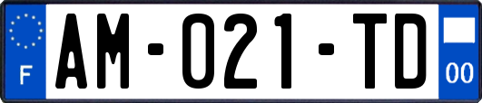 AM-021-TD