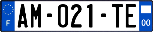 AM-021-TE