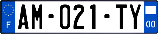 AM-021-TY