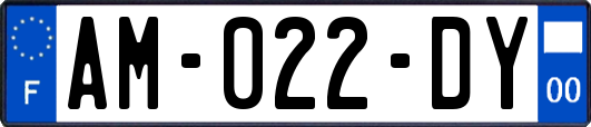 AM-022-DY