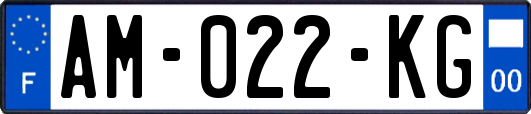 AM-022-KG