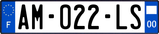 AM-022-LS