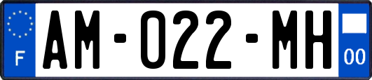 AM-022-MH