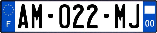 AM-022-MJ