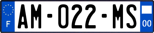 AM-022-MS