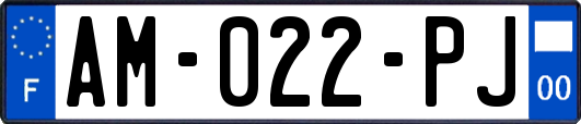 AM-022-PJ