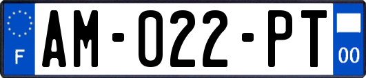 AM-022-PT