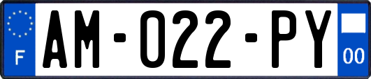 AM-022-PY